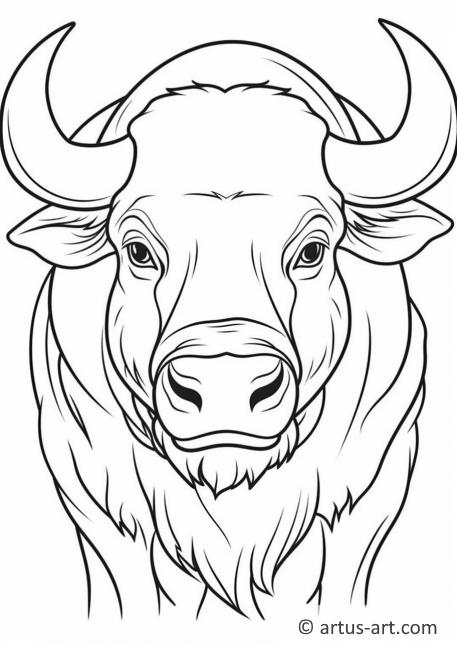 Kleurenpagina van de Kaapse buffel